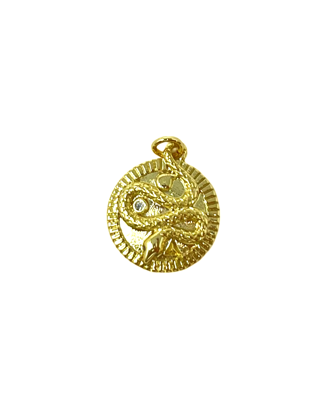 Charming Serpent Medallion Charm in Gold