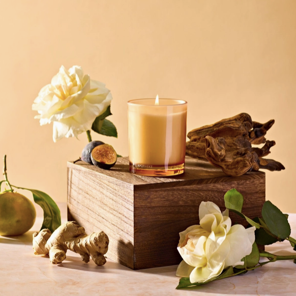 Apotheke Petite Candle in Cedarwood Ginger